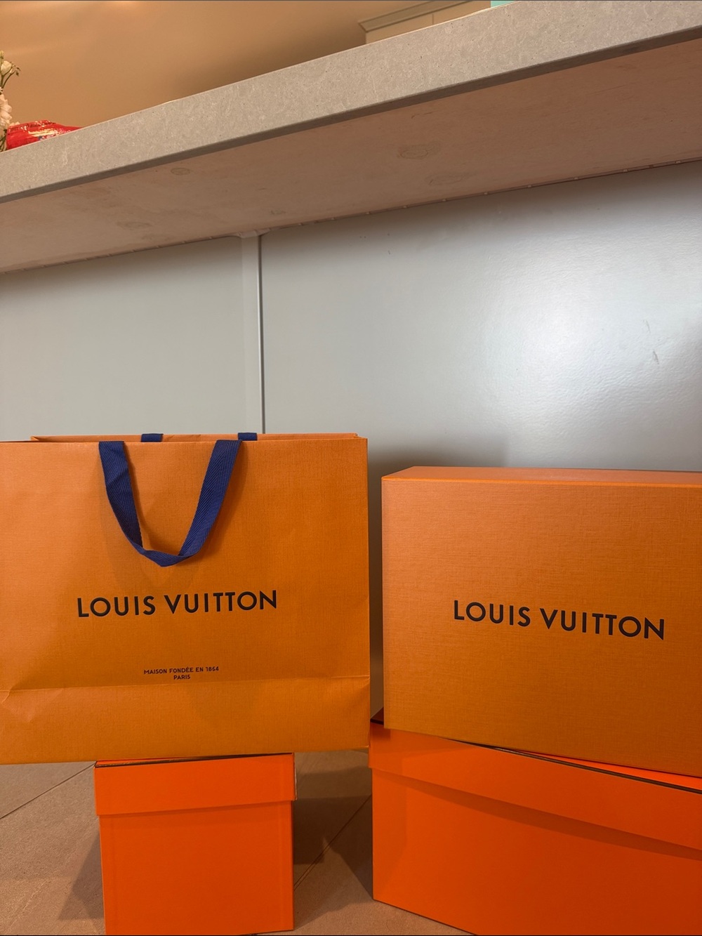 Louis Vuitton Shoe Box with shopping bag